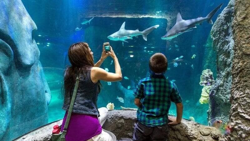 Best Places for Families in Istanbul